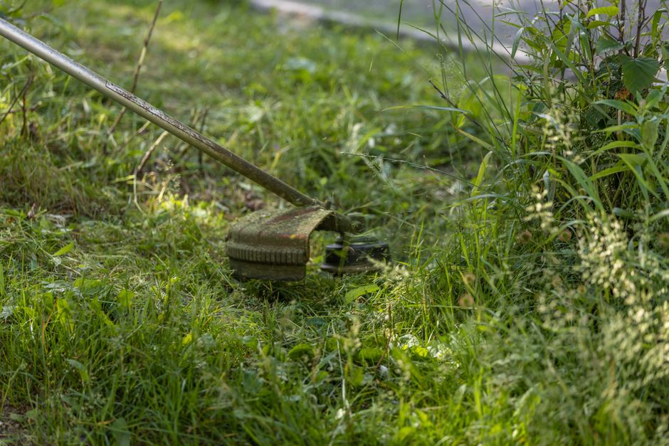 Aeracija i vertikutacija travnjaka